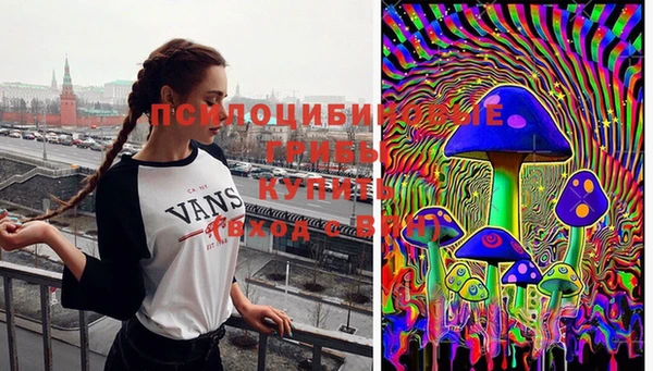 прущие крисы Армянск