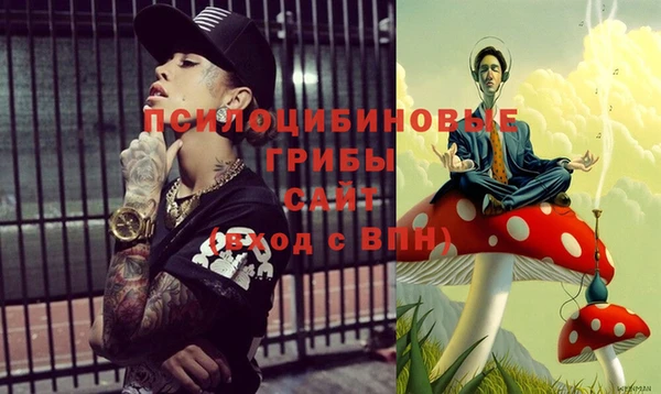 мяу мяу мука Аркадак