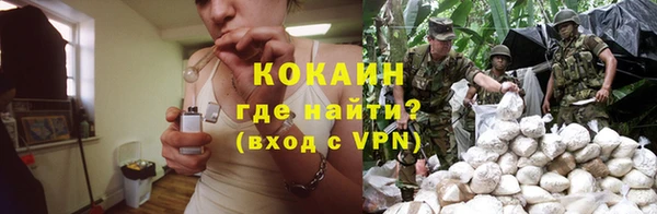 а пвп мука Алзамай