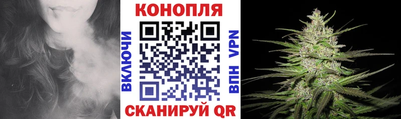 Конопля Ganja  Кохма 